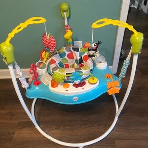 Fisher Price Bouncer/Exerciser